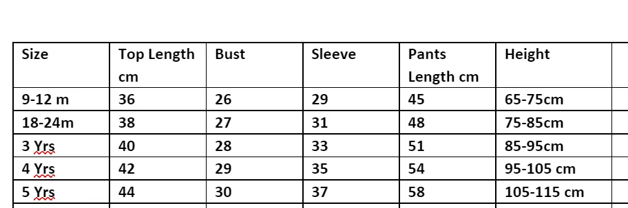 2Pcs Unisex Cartoon Long Sleeve Sweater Jogger Outfits For Kids