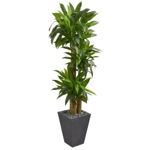 66" Artificial Cornstalk Dracaena w/Planterer (Real Touch) - Low Maintenance, Life-Like & Vibrant Silk Plants For Busy People.