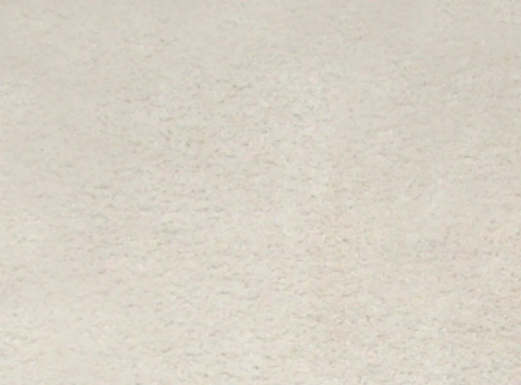 Aliso Shag Area Rug WHITE