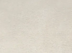 Aliso Shag Area Rug WHITE