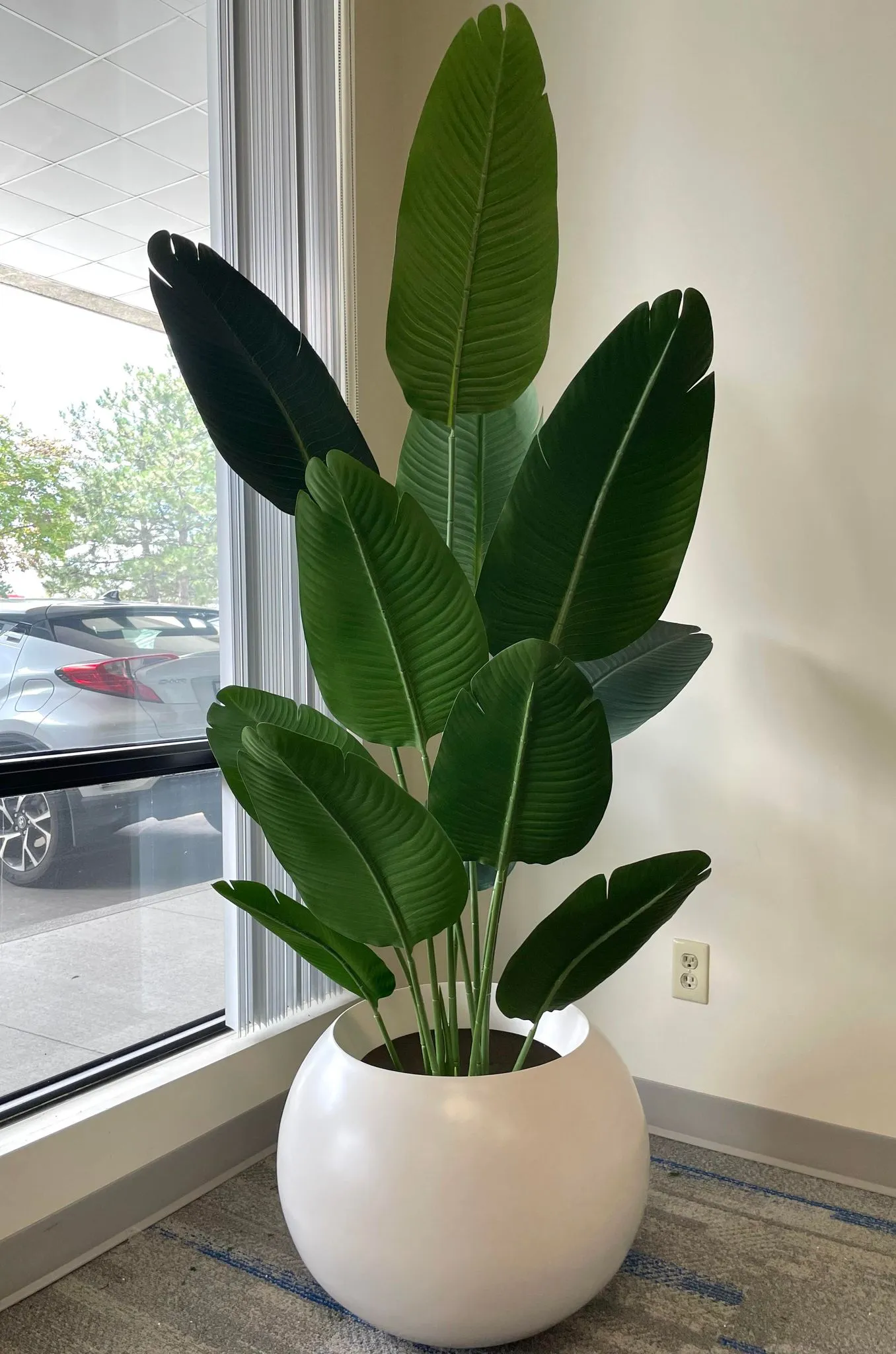Artificial Bird of Paradise-6ft