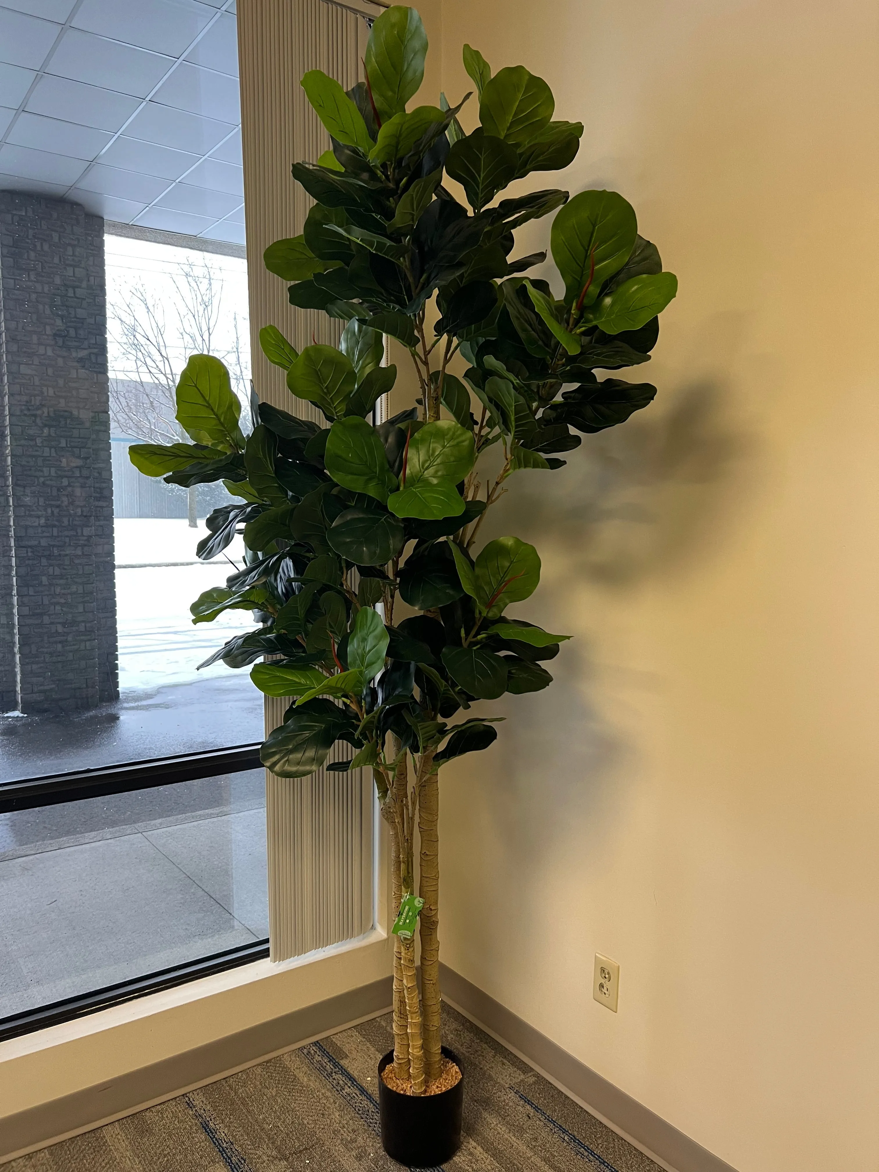 Artificial Fiddle Fig Tree (8')
