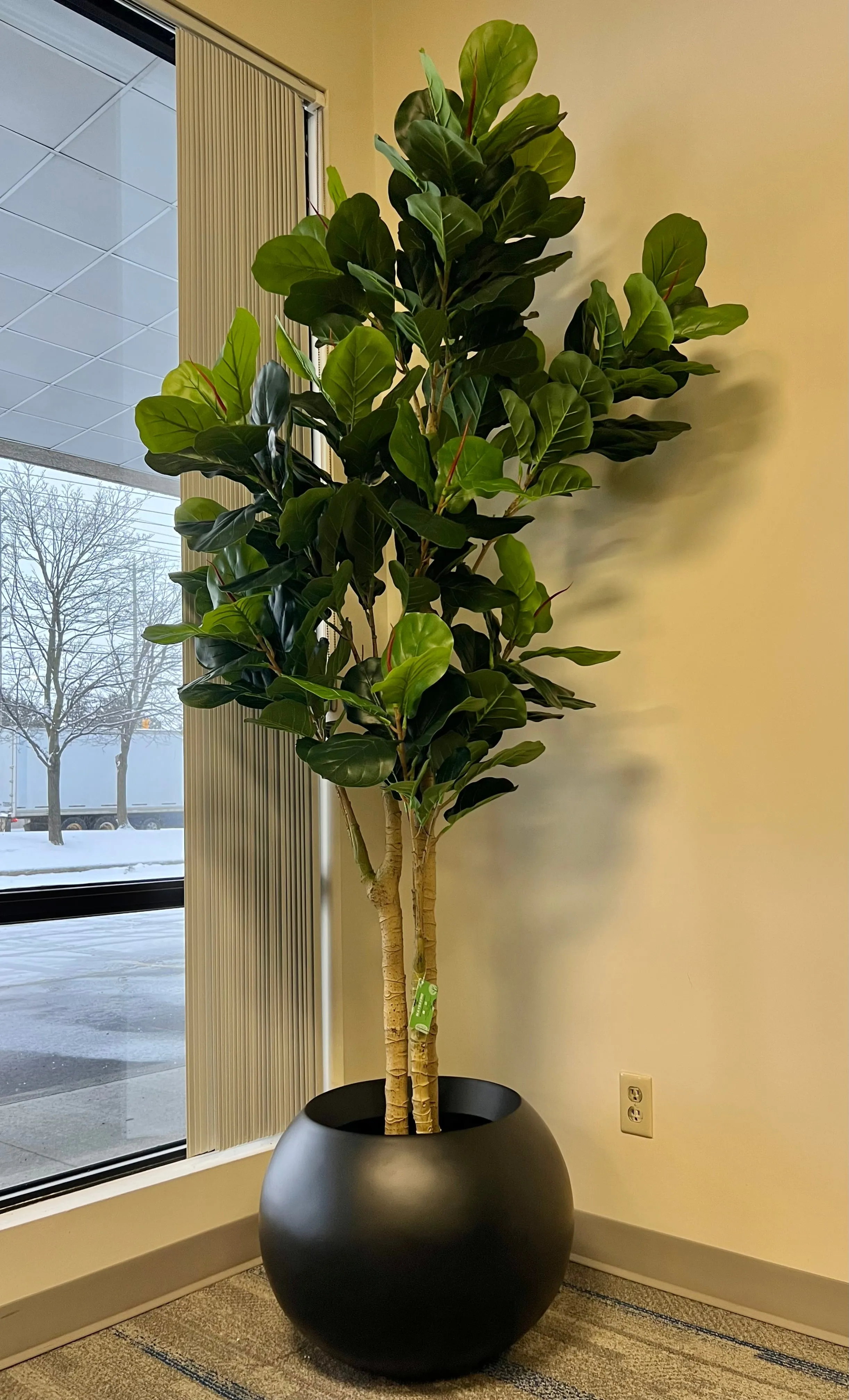 Artificial Fiddle Fig Tree (8')