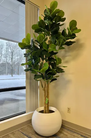 Artificial Fiddle Fig Tree (8')
