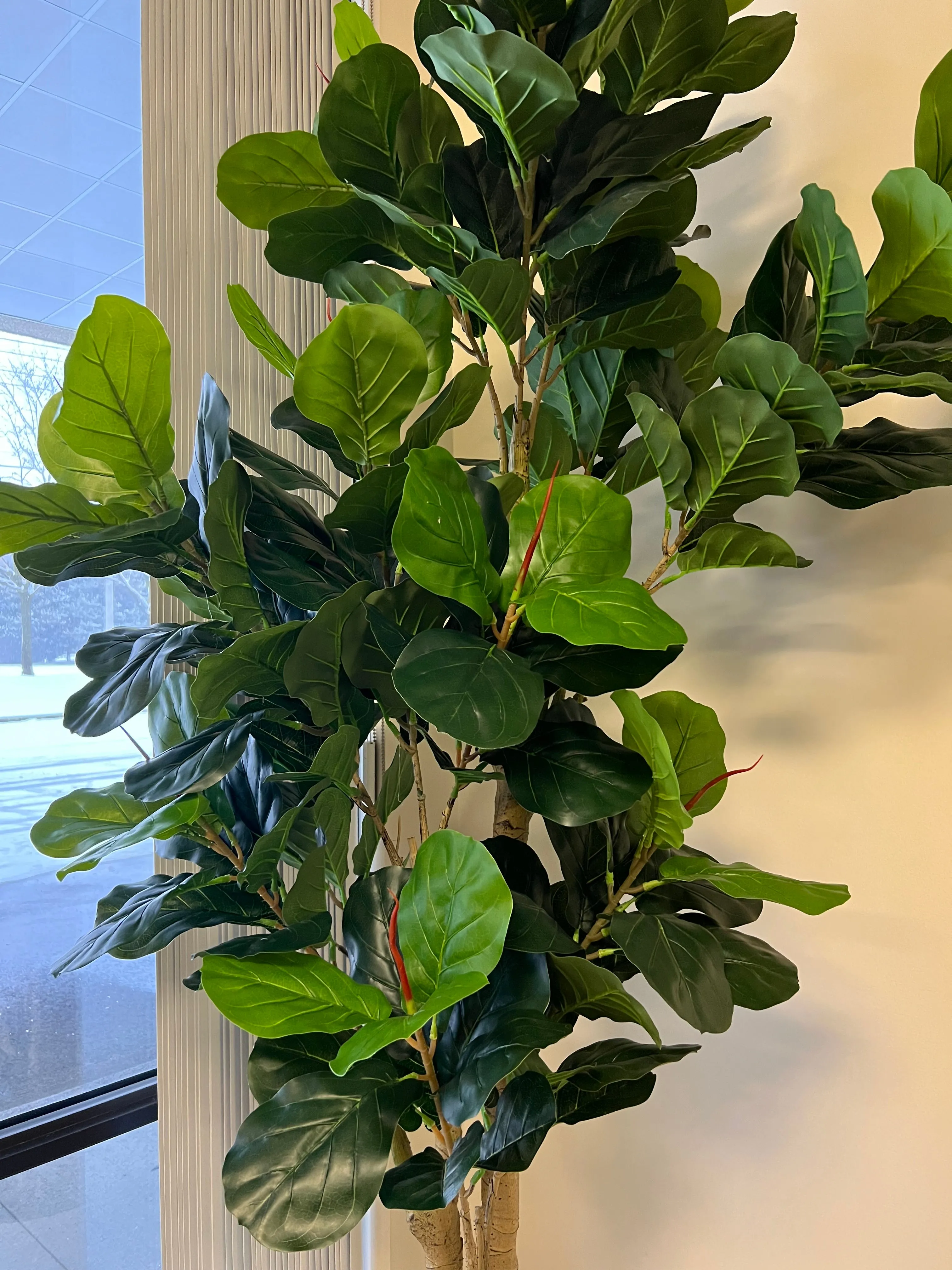Artificial Fiddle Fig Tree (8')