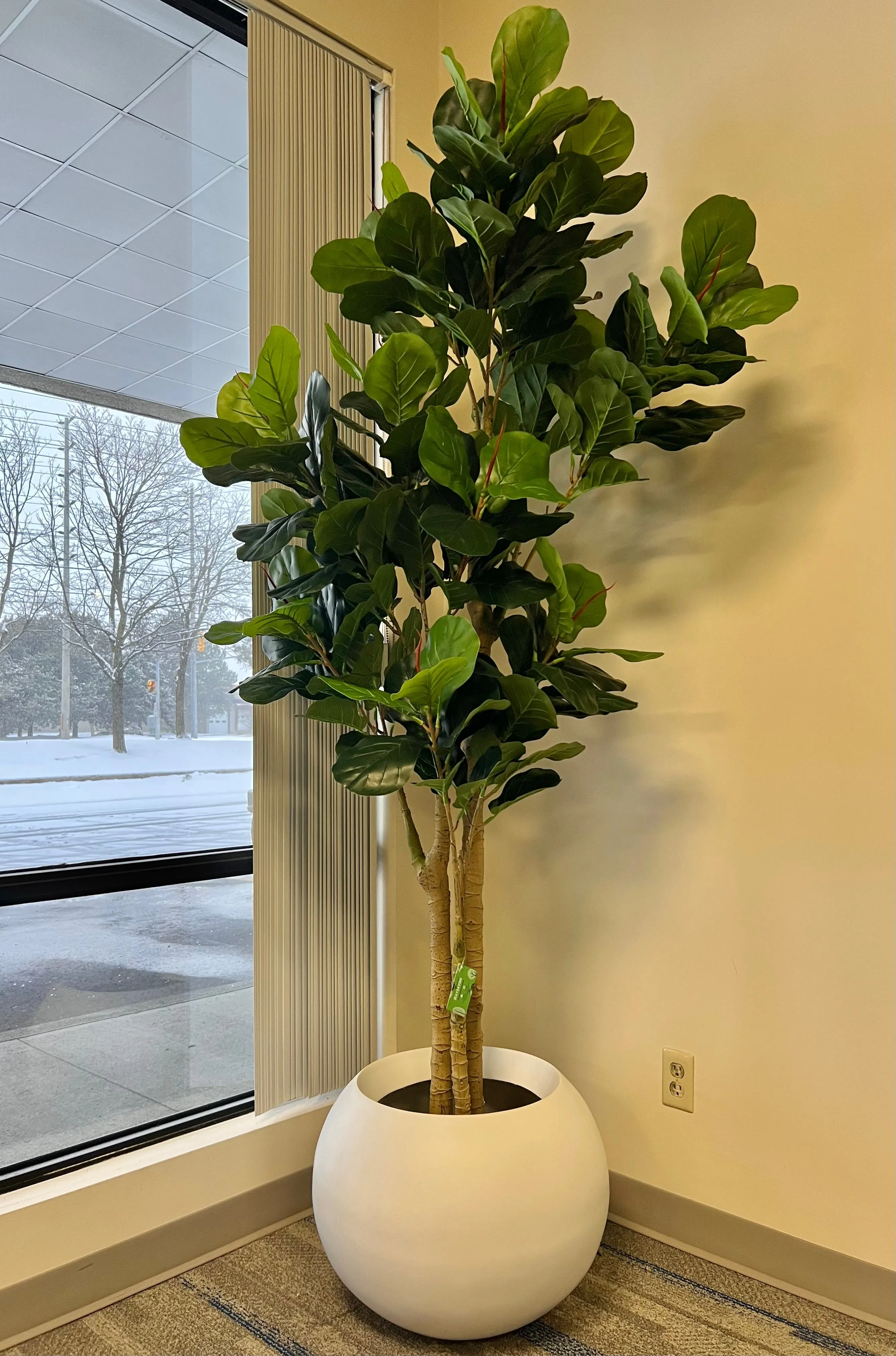Artificial Fiddle Fig Tree (8')