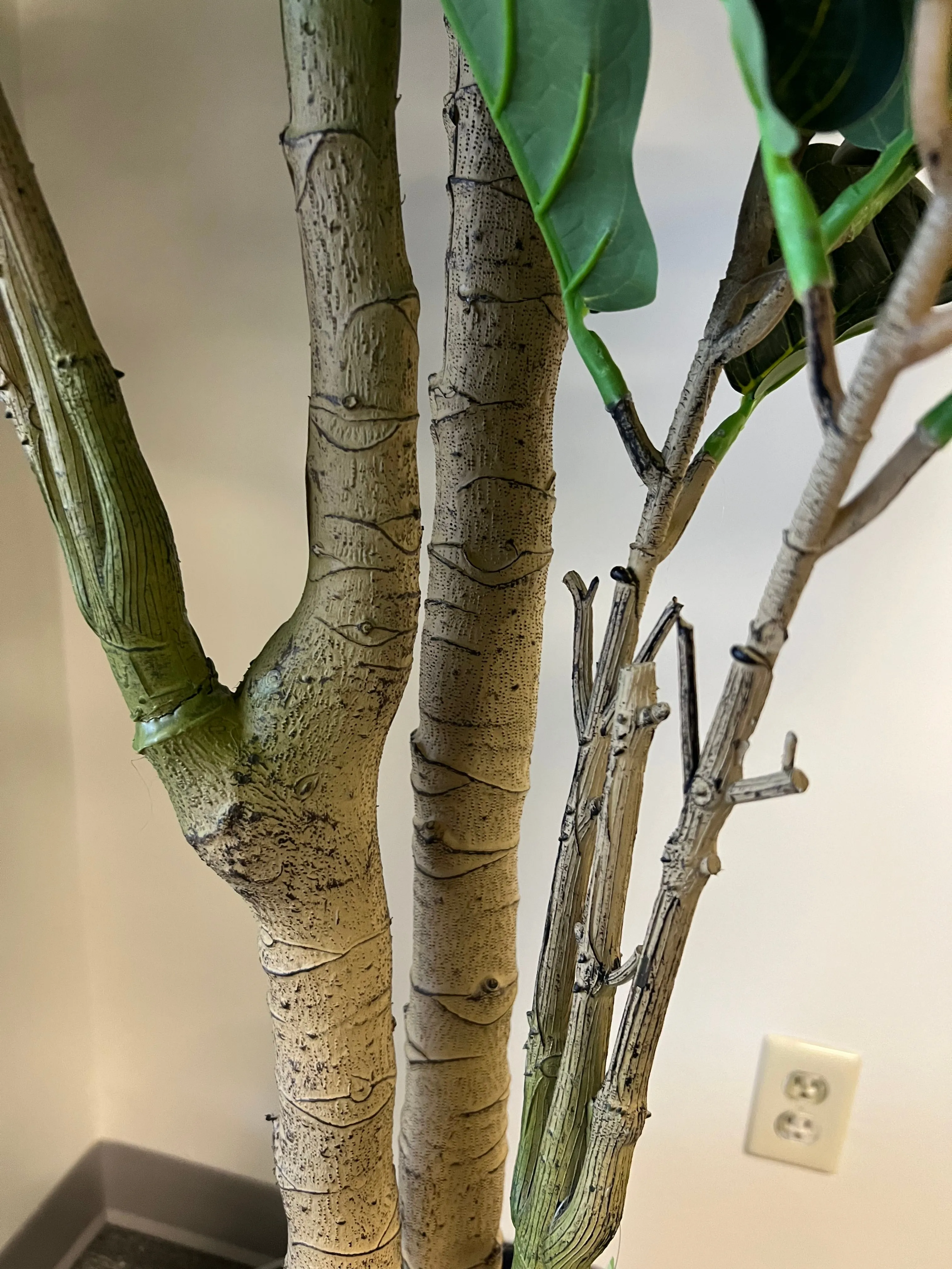 Artificial Fiddle Fig Tree (8')