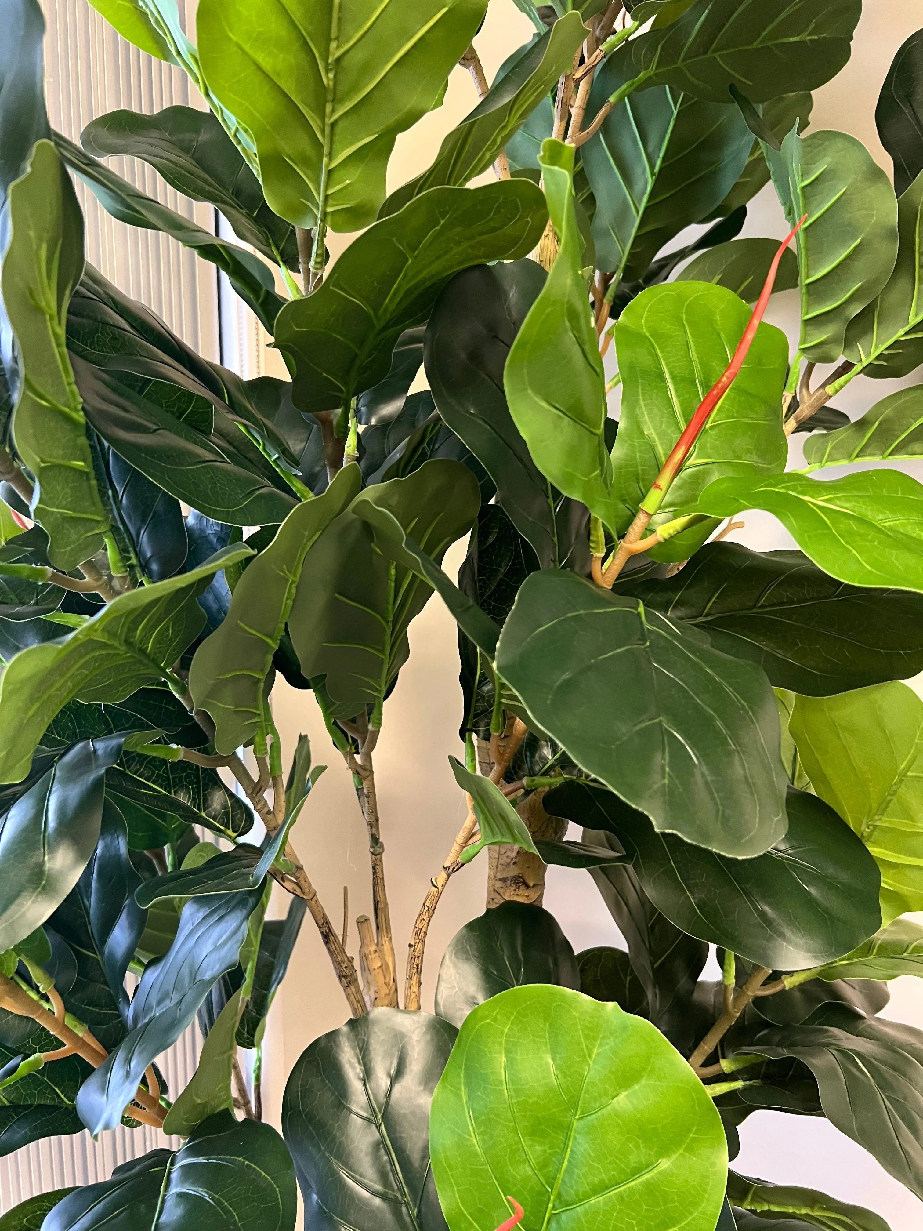 Artificial Fiddle Fig Tree (8')