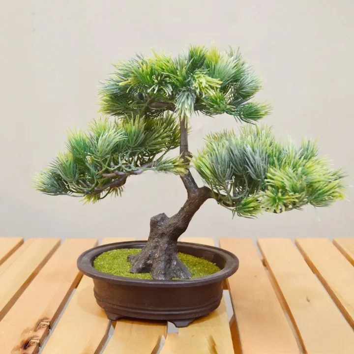 Artificial In House Grass Plant