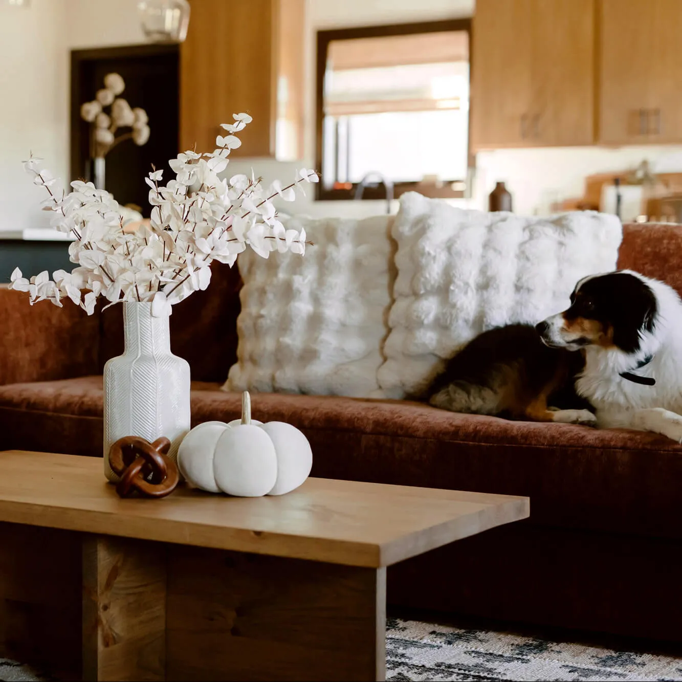 Boho Cream Plush Pumpkin Trio