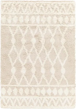 Booth Shag Area Rug Carpet for Living Room Bedroom or Kitchen