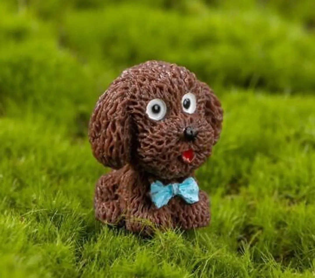 Dog Miniature