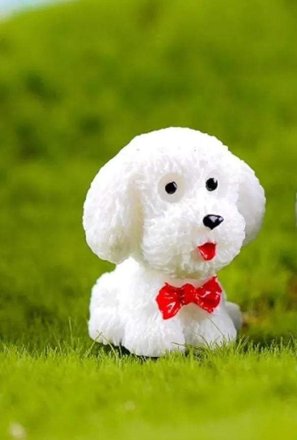 Dog Miniature