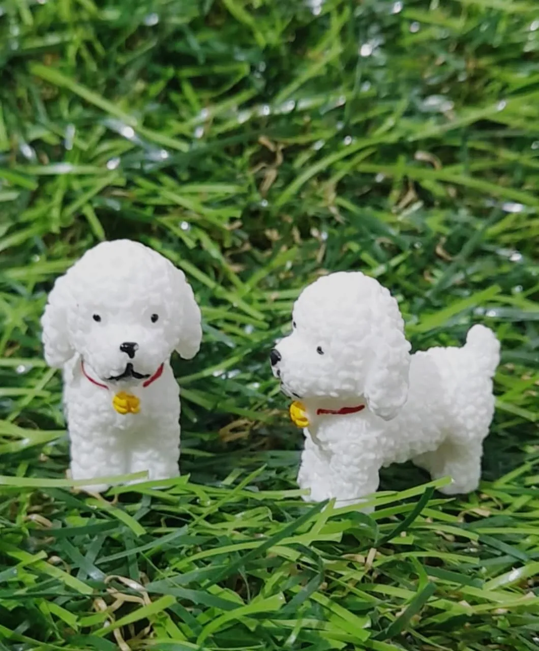 Dog Miniature