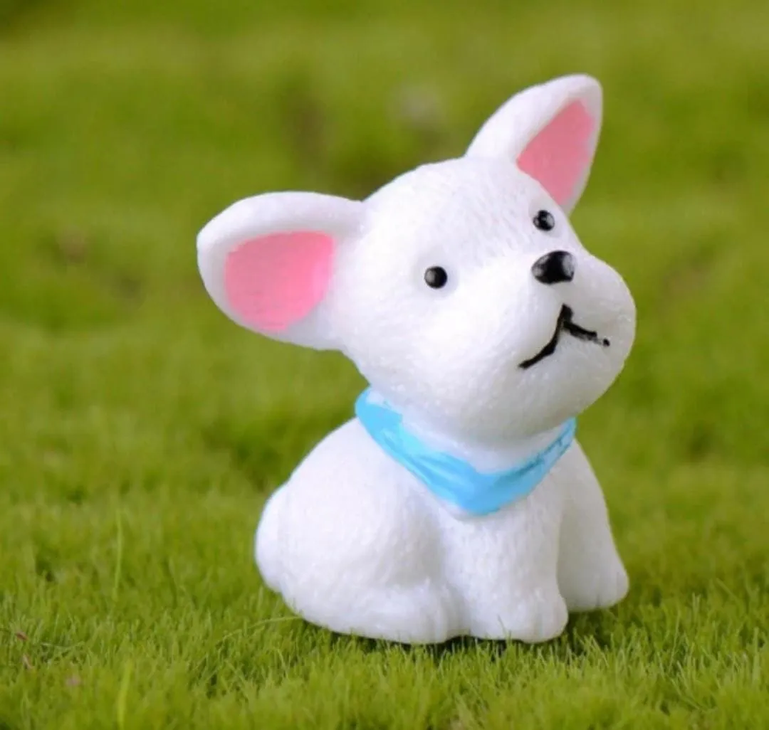 Dog Miniature