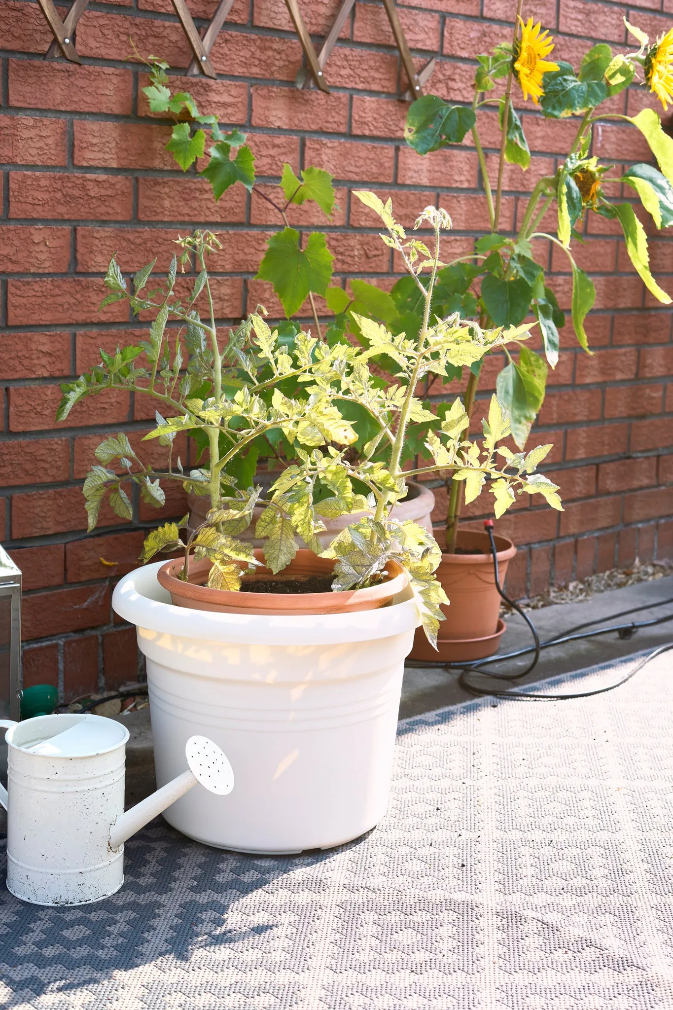 ELHO 34cm Cotton White Round Plant & Flower Pot