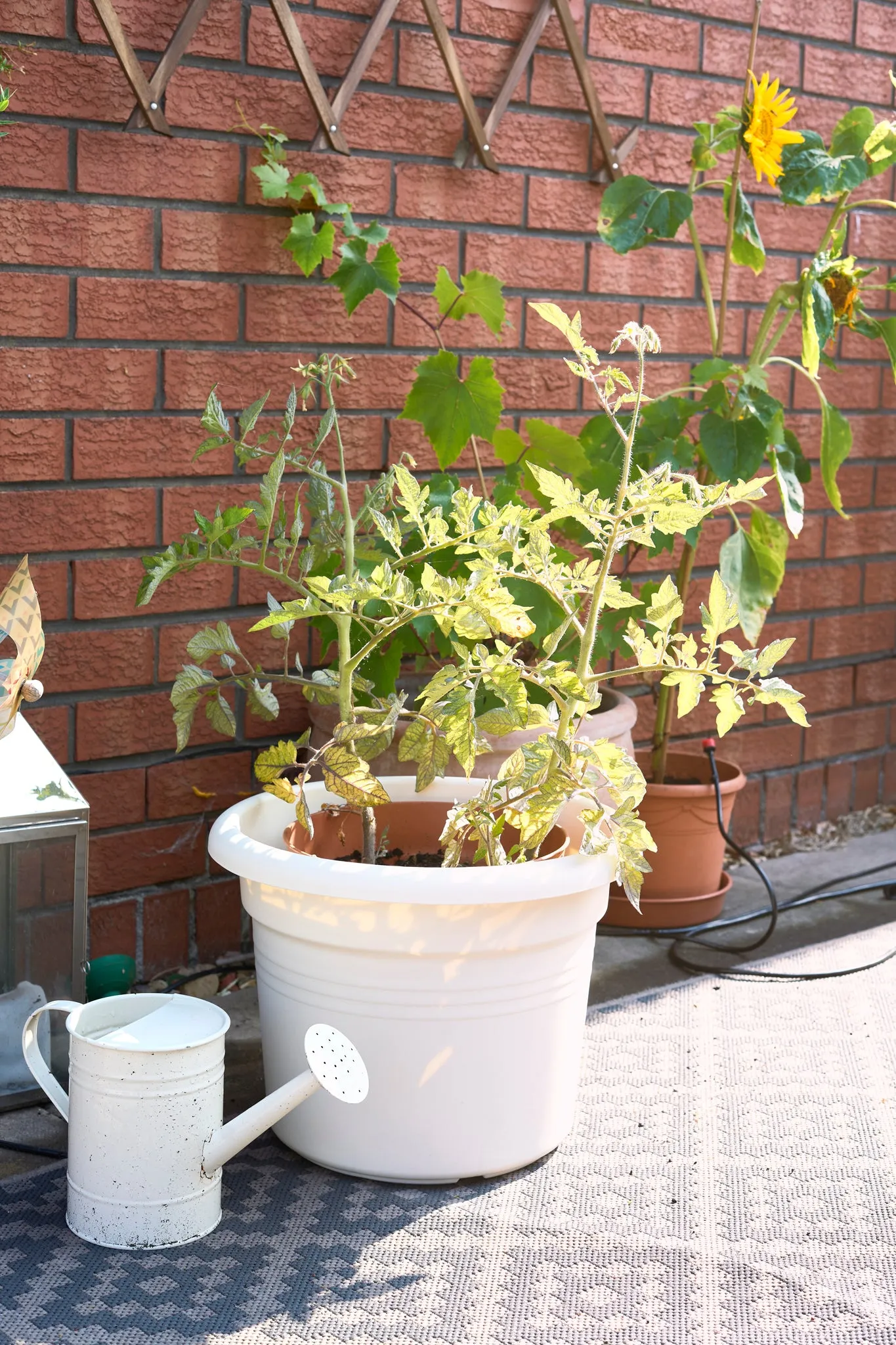 ELHO 34cm Cotton White Round Plant & Flower Pot