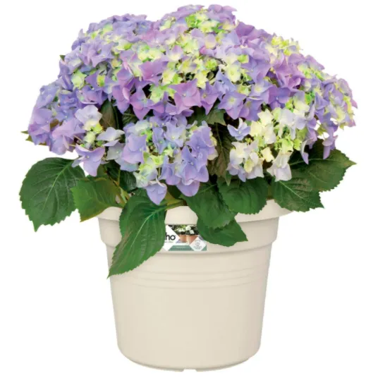 ELHO 34cm Cotton White Round Plant & Flower Pot