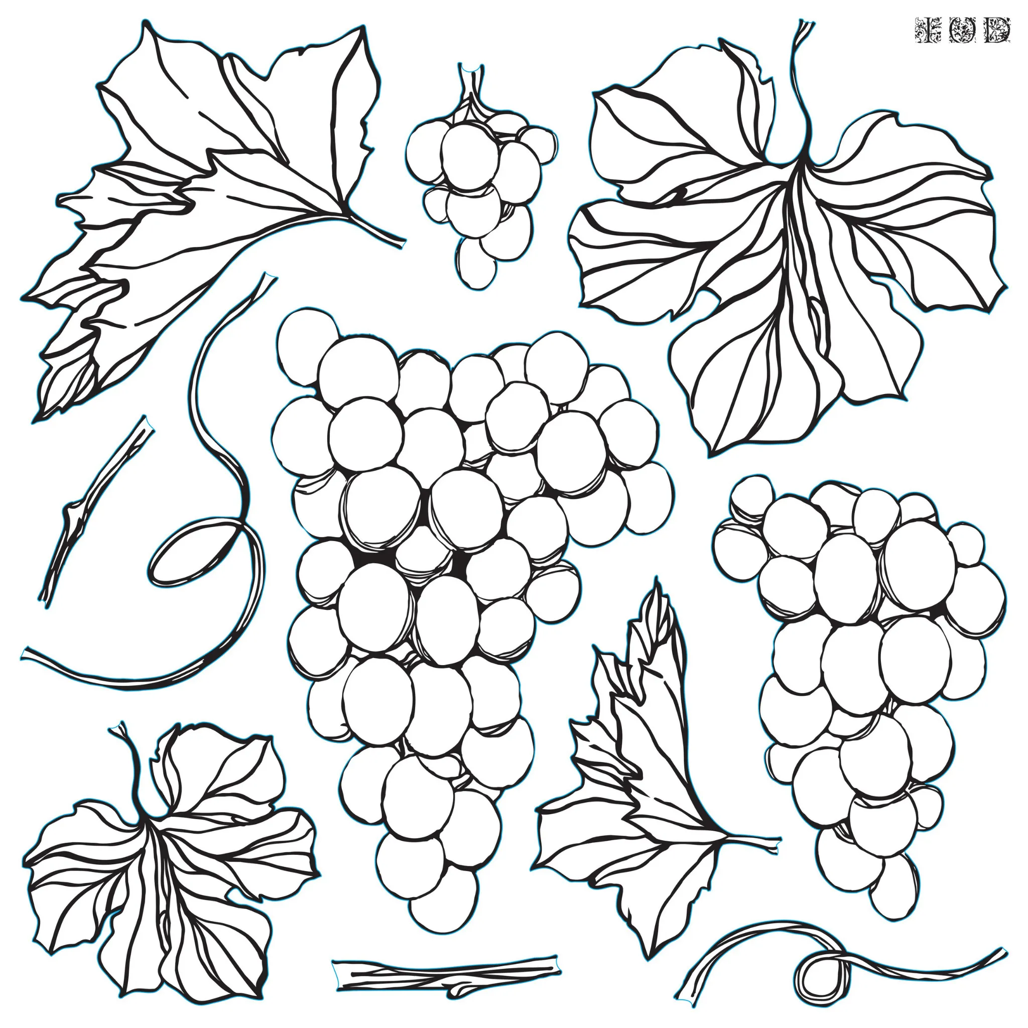 Grapes Decor Stamp™