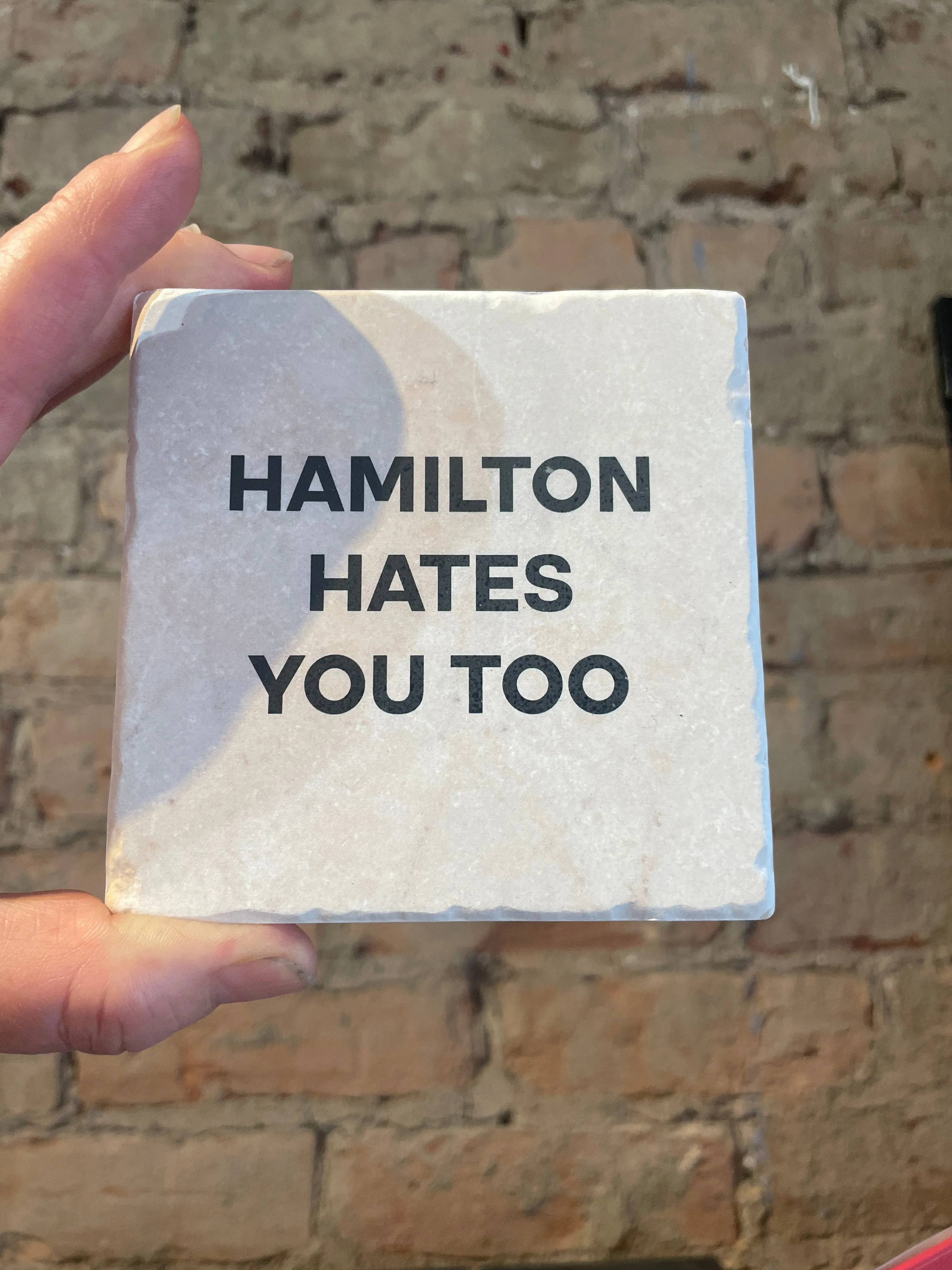 Hamilton Hates You Too Coasters