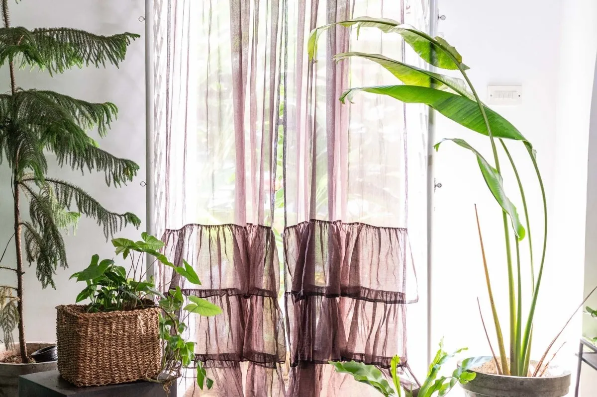 I Dream Of Chocolates (Curtain)
