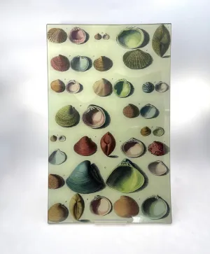 John Derian 10" x 16" Trays