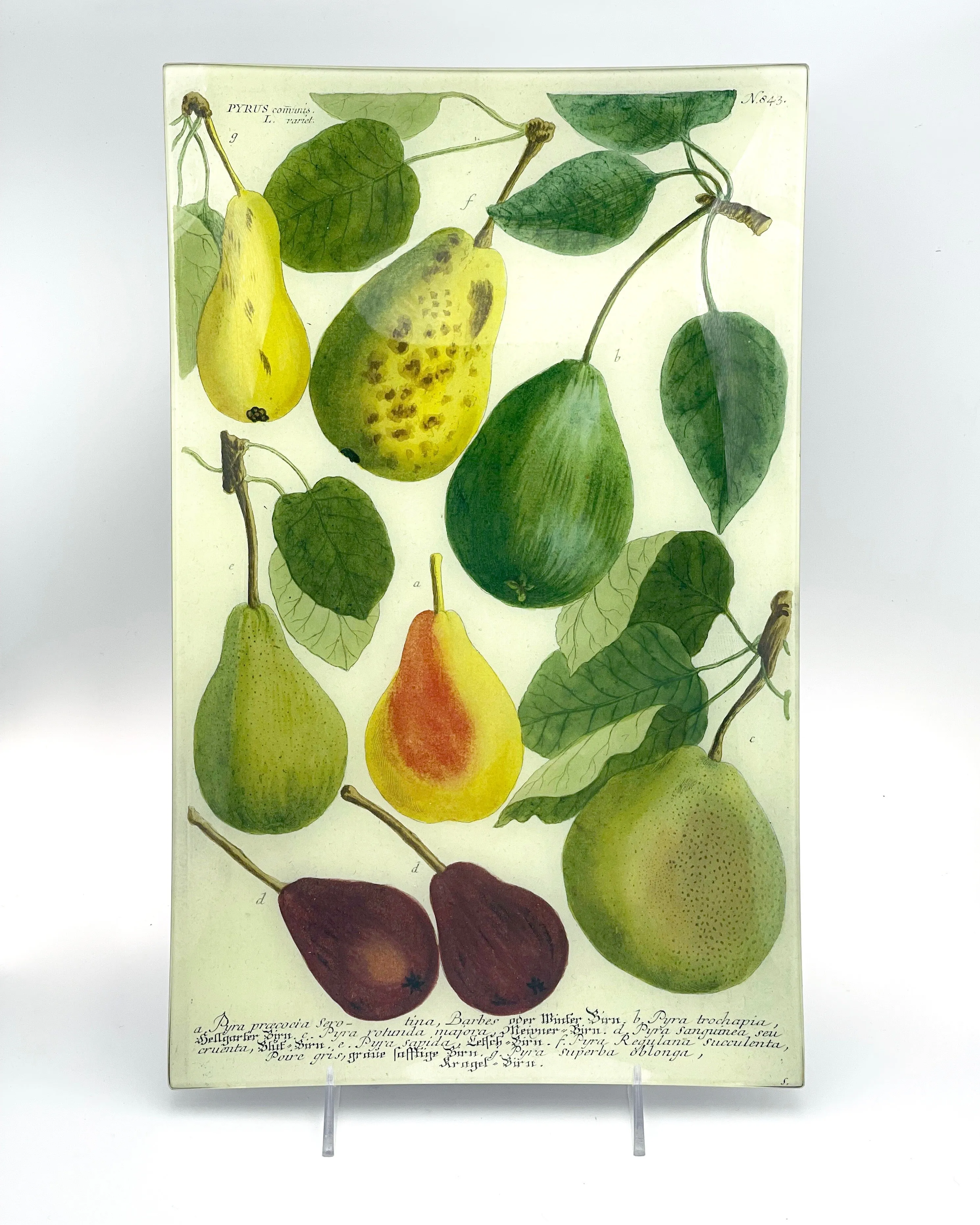 John Derian 10" x 16" Trays