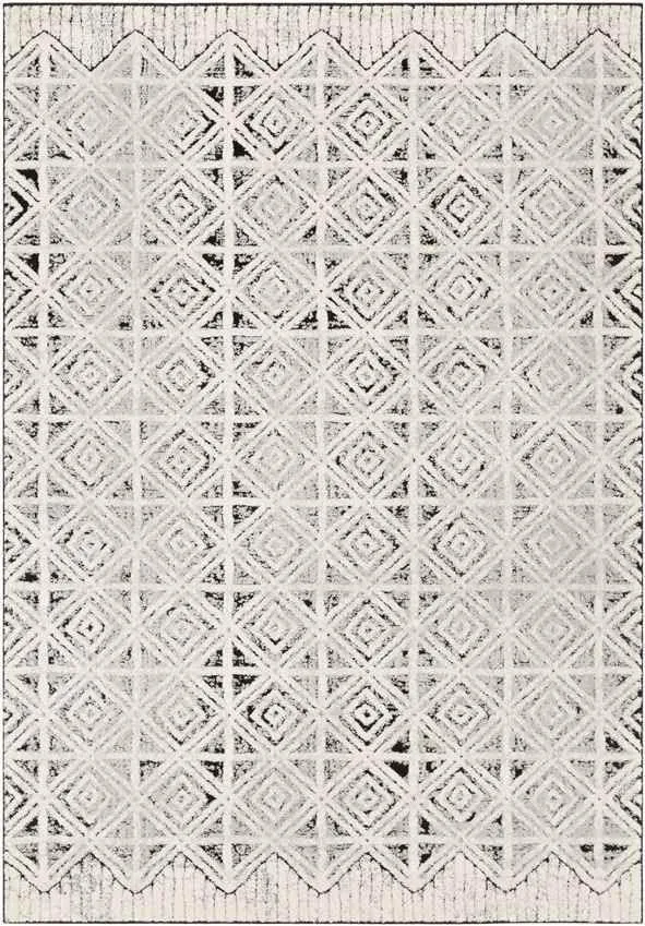 Marshall Bohemian Gray Area Rug Carpet for Living Room Bedroom or Kitchen