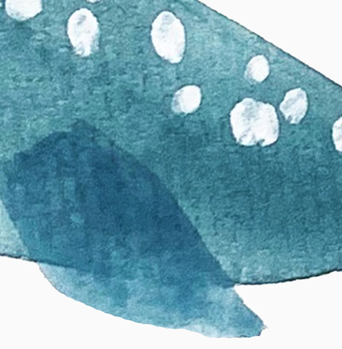 Narwhal Landscape Shower Curtain