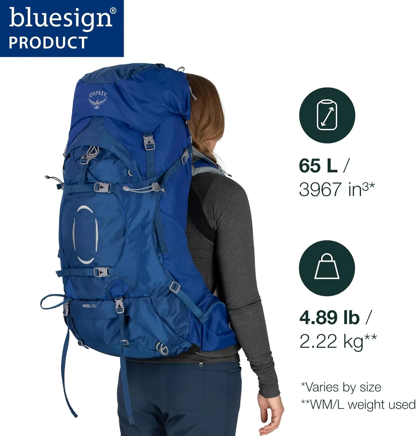 Osprey Ariel 65L Women's Backpacking Backpack, Medium Gray, WM/L