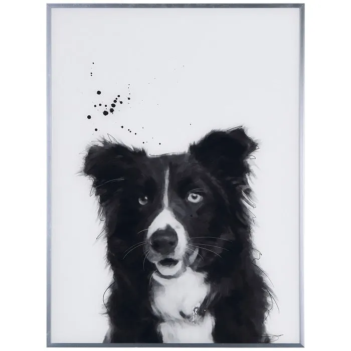 "Border" Collie Black and White Pet Dog Wall Art