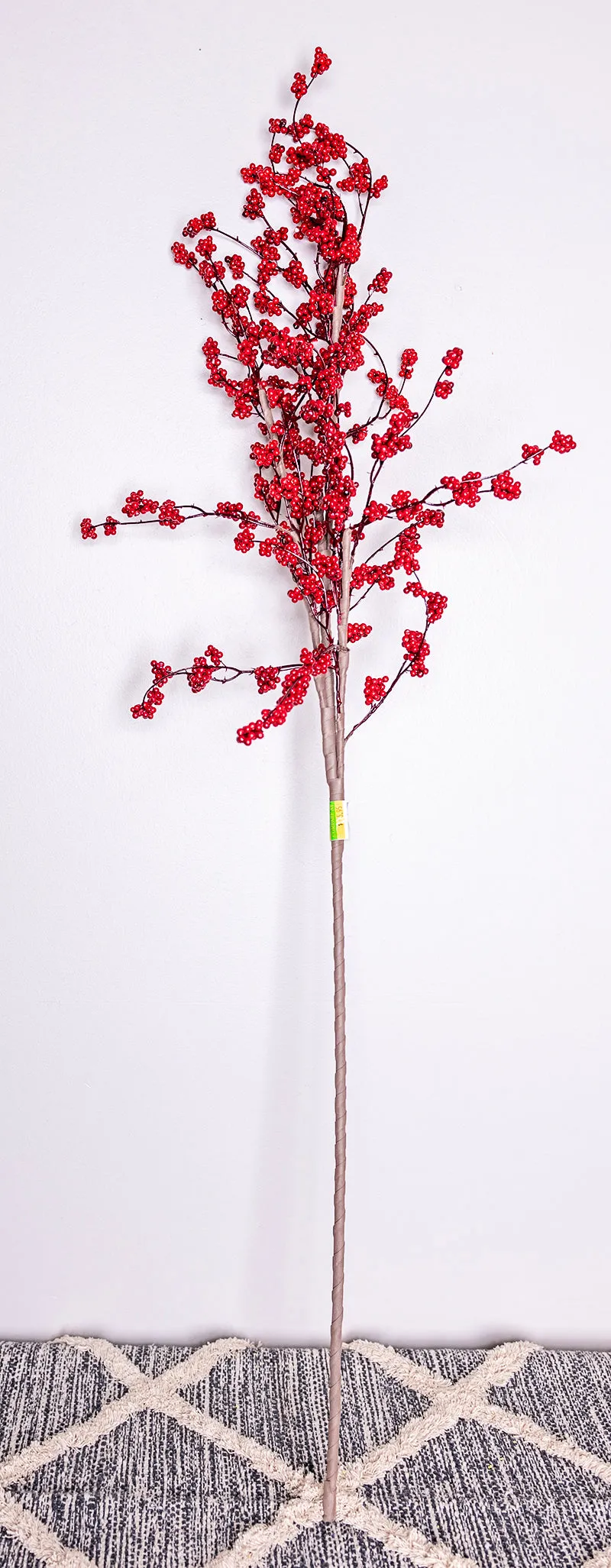 Red Ormosia Plant Branch