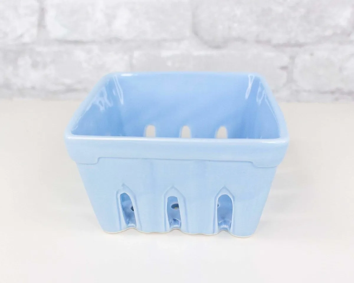 Strawberry Carton Container - Blue