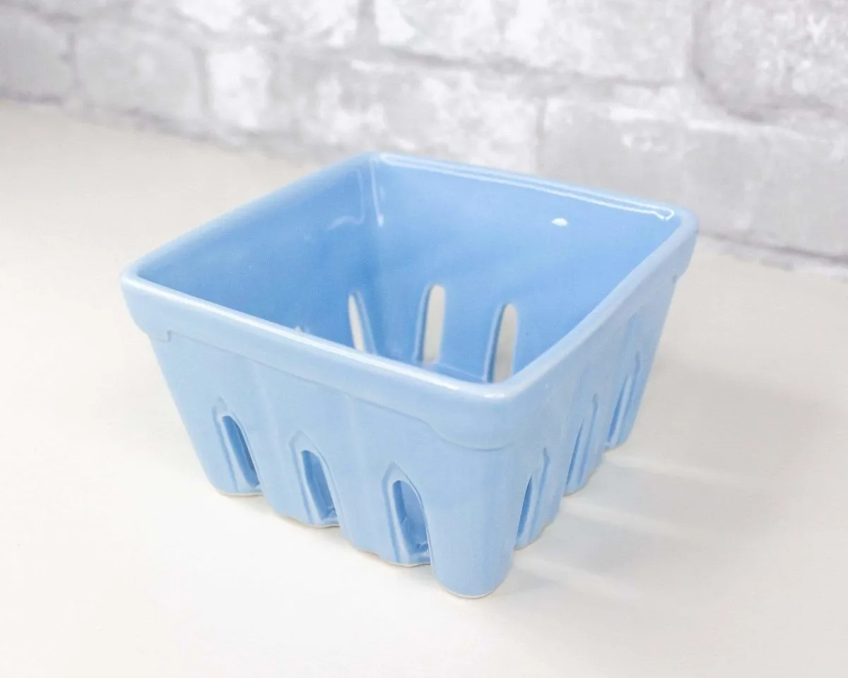Strawberry Carton Container - Blue