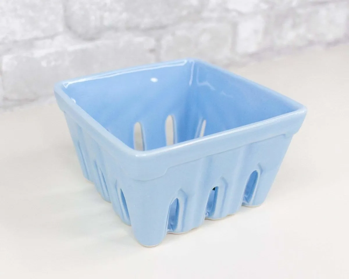 Strawberry Carton Container - Blue
