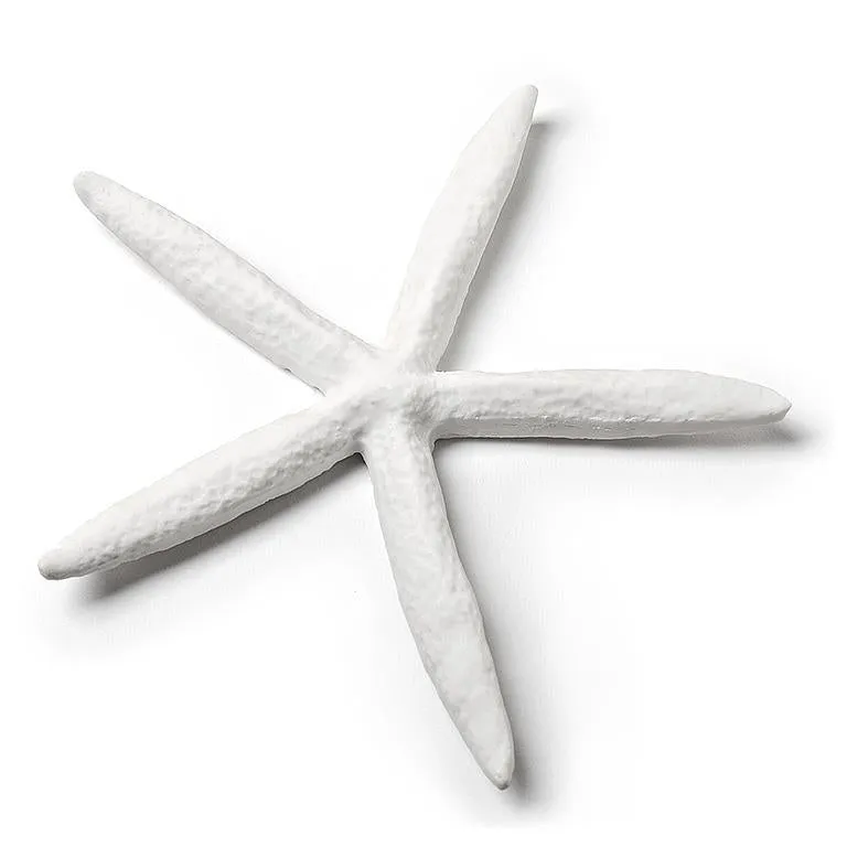 White Starfish Decor 6"