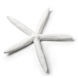 White Starfish Decor 6"